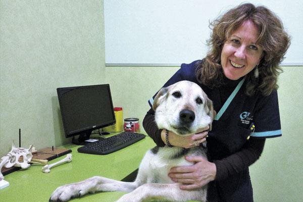 en-oncologia-veterin