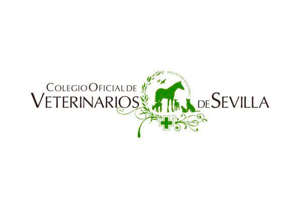 el cov de sevilla aprueba los presupuestos para 2019 el cov de sevilla aprueba los presupuestos para 2019