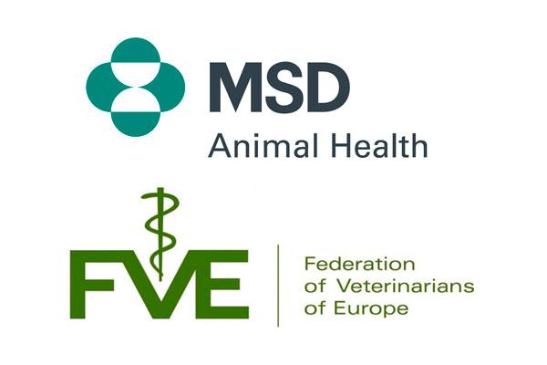fve y msd animal health becan a 36 estudiantes de veterinaria fve y msd animal health becan a 36 estudiantes de veterinaria