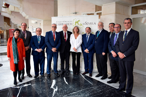 el icov de sevilla entrega sus distinciones y da la bienvenida a los nuevos colegiados el icov de sevilla entrega sus distinciones y da la bienvenida a los nuevos colegiados