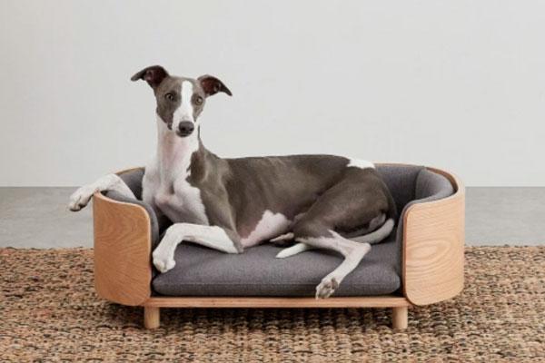 madecom lanza su coleccin de mobiliario y accesorios para mascotas madecom lanza su coleccin de mobiliario y accesorios para mascotas