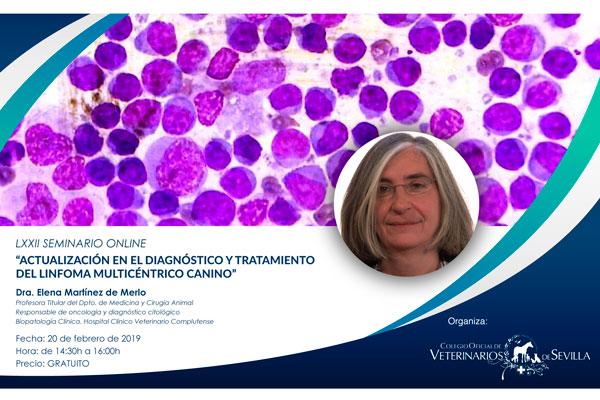 el cov de sevilla pone en marcha un seminario online centrado en el linfoma multicntrico el cov de sevilla pone en marcha un seminario online centrado en el linfoma multicntrico