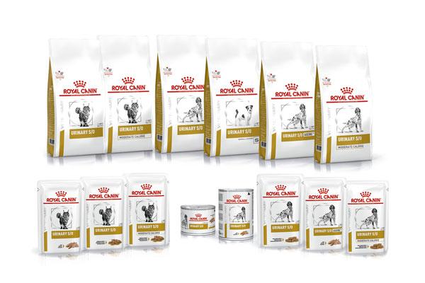 veterinary health nutrition la nueva gama veterinaria de royal canin veterinary health nutrition la nueva gama veterinaria de royal canin