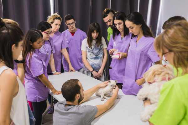 vuelve el curso de auxiliar clnico veterinario de ivet vuelve el curso de auxiliar clnico veterinario de ivet