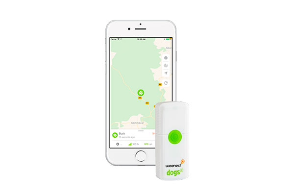 weenect dogs el localizador gps para perros weenect dogs el localizador gps para perros