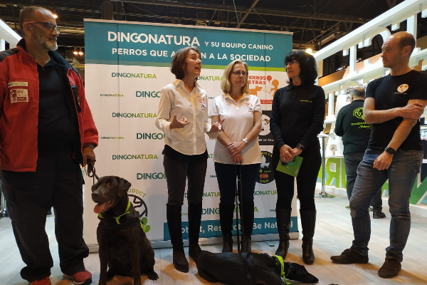 dingonatura presenta su patrulla canina hroes que trabajan para el bien social dingonatura presenta su patrulla canina hroes que trabajan para el bien social