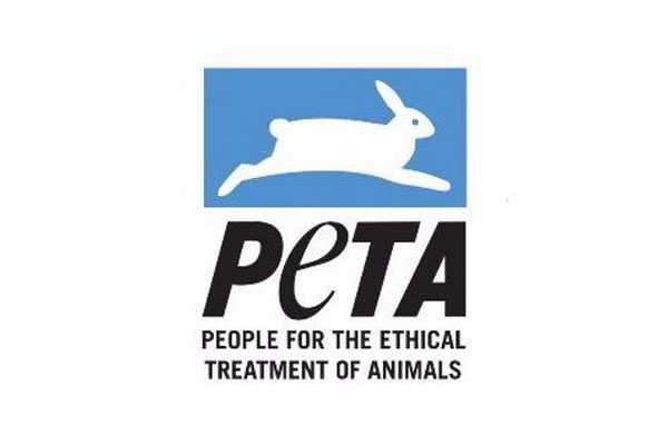 dingonatura empresa espaola certificada por peta dingonatura empresa espaola certificada por peta