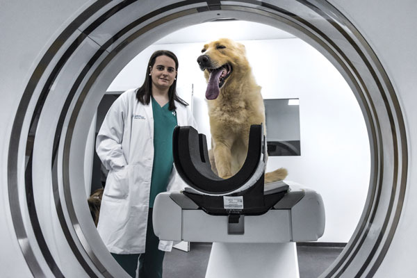 el-hospital-veterinario-4-de-octubre-aporta-la-especializacion-a-la-veterinaria-en-galicia
