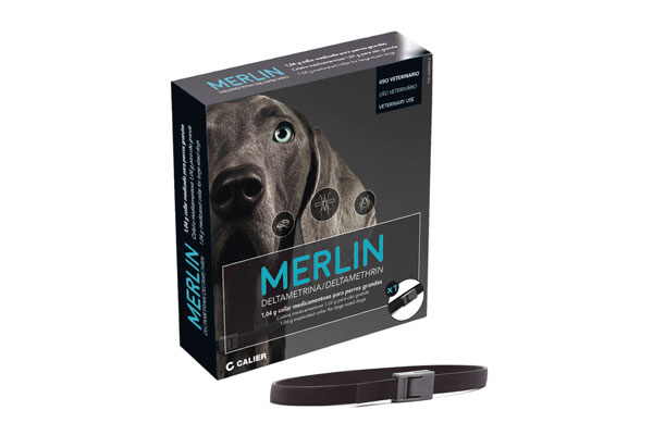 merlin el nuevo collar antiparasitario para perros de calier merlin el nuevo collar antiparasitario para perros de calier
