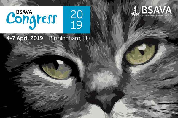 arranca el congreso bsava 2019 arranca el congreso bsava 2019