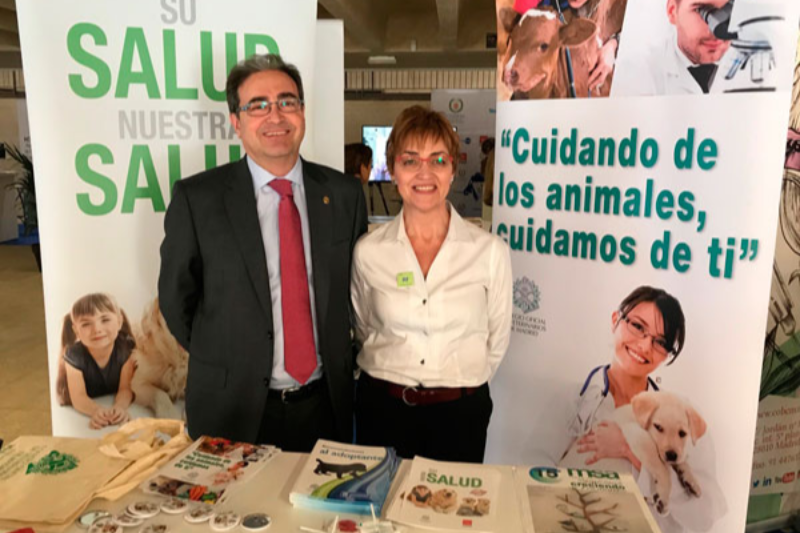 colvema da a conocer la versatilidad de la veterinaria en el da de las profesiones 2019 colvema da a conocer la versatilidad de la veterinaria en el da de las profesiones 2019