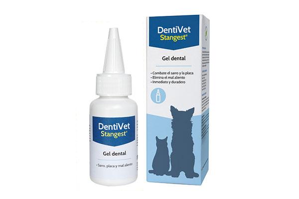 dentivet gel dental lo ltimo de stangest para la higiene bucal diaria de perros y gatos dentivet gel dental lo ltimo de stangest para la higiene bucal diaria de perros y gatos