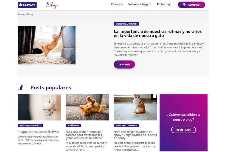 feliwaysupsup presenta su nuevo blog con consejos para propietarios feliwaysupsup presenta su nuevo blog con consejos para propietarios