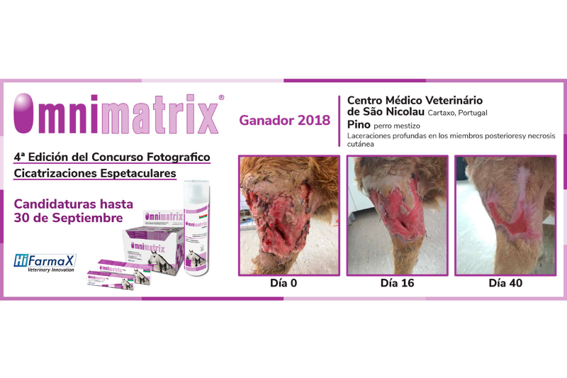 hifarmax vuelve a premiar las cicatrizaciones ms espectaculares hifarmax vuelve a premiar las cicatrizaciones ms espectaculares