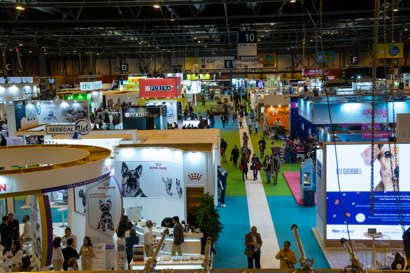 iberzoopropet 2019 la edicin de la consolidacin iberzoopropet 2019 la edicin de la consolidacin