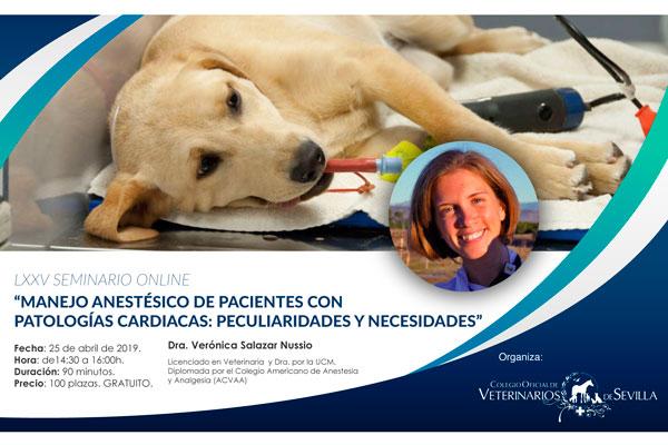 el-cov-de-sevilla-prepara-su-lxxv-seminario-online