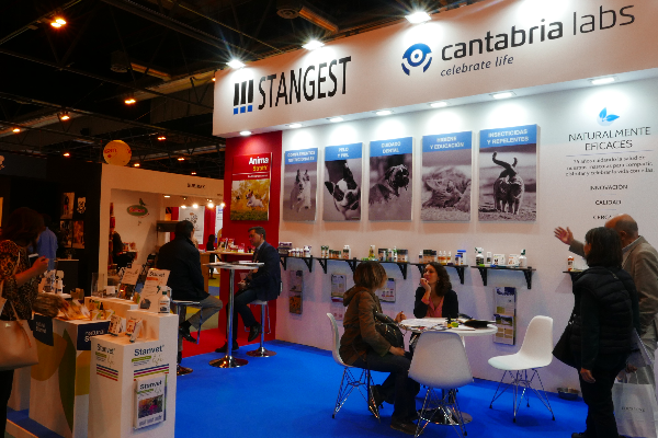 stangest despunta en iberzoopropet 2019 stangest despunta en iberzoopropet 2019