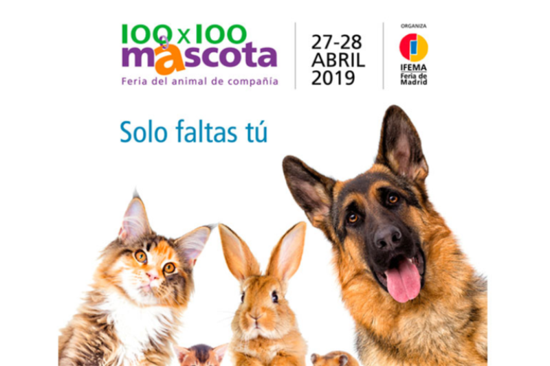 todo a punto para 100x100 mascota 2019 todo a punto para 100x100 mascota 2019