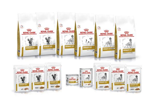 urinary la nueva gama de royal canin destinada a la prevencin y tratamiento de las patologas urinarias urinary la nueva gama de royal canin destinada a la prevencin y tratamiento de las patologas urinarias