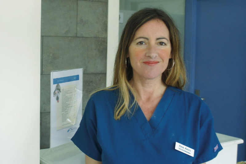 el veterinario es bsico para garantizar una vida ms larga y saludable de las mascotas el veterinario es bsico para garantizar una vida ms larga y saludable de las mascotas