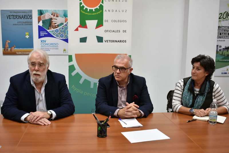los-veterinarios-andaluces-velan-por-el-bienestar-de-los-animales-que-participan-en-ferias-y-romeria