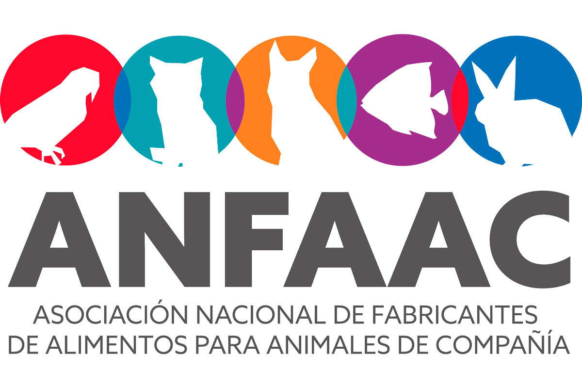 anfaac renueva su identidad corporativa y presenta su nuevo portal web anfaac renueva su identidad corporativa y presenta su nuevo portal web