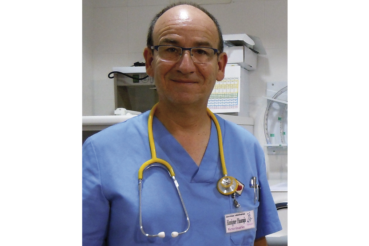 la ausencia global de investigacin es un punto dbil de la cardiologa felina la ausencia global de investigacin es un punto dbil de la cardiologa felina