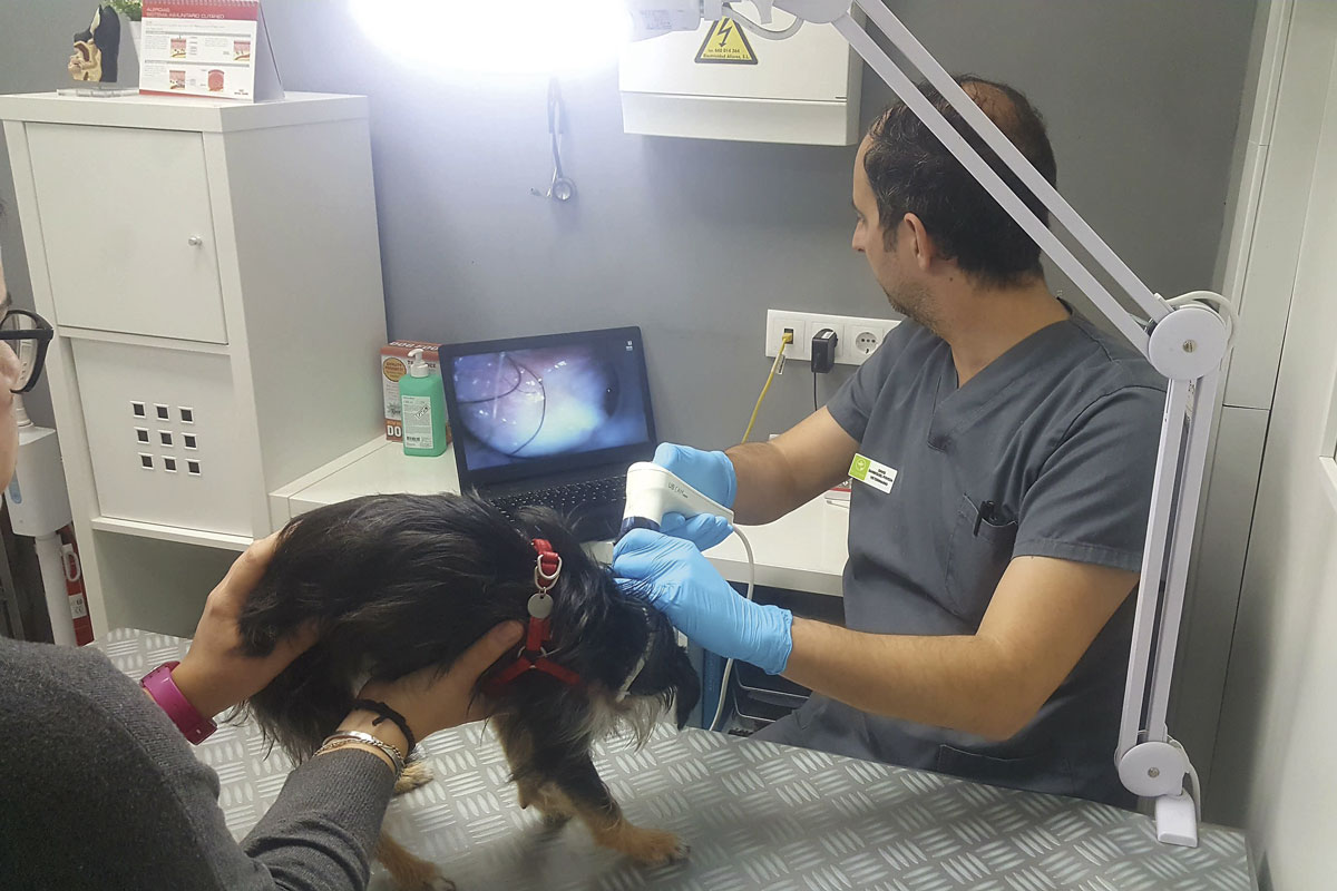 en dermatologa hay que hacer medicina de precisin y no fiarse del ojo clnico en dermatologa hay que hacer medicina de precisin y no fiarse del ojo clnico