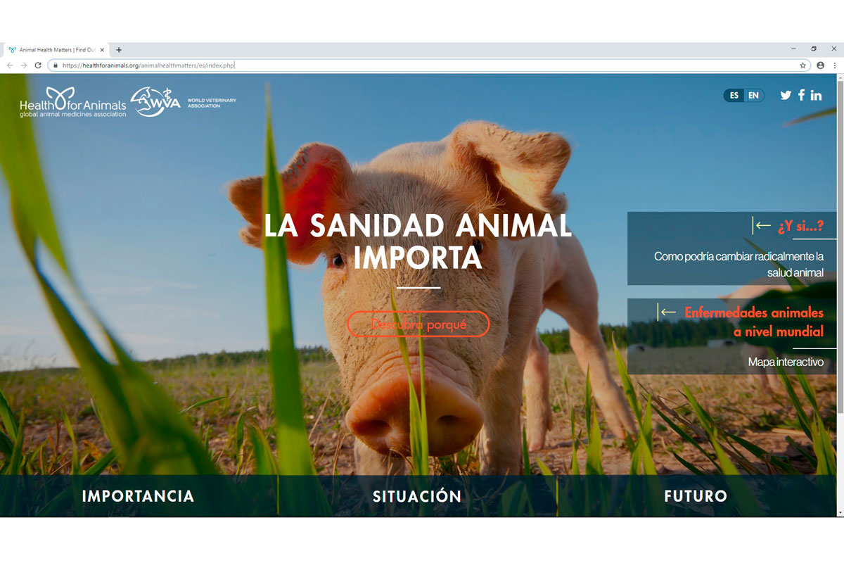 nace la sanidad animal importa una nueva web en espaol sobre salud veterinaria nace la sanidad animal importa una nueva web en espaol sobre salud veterinaria