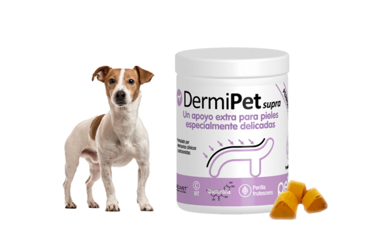 petia presenta dermipet supra petia presenta dermipet supra