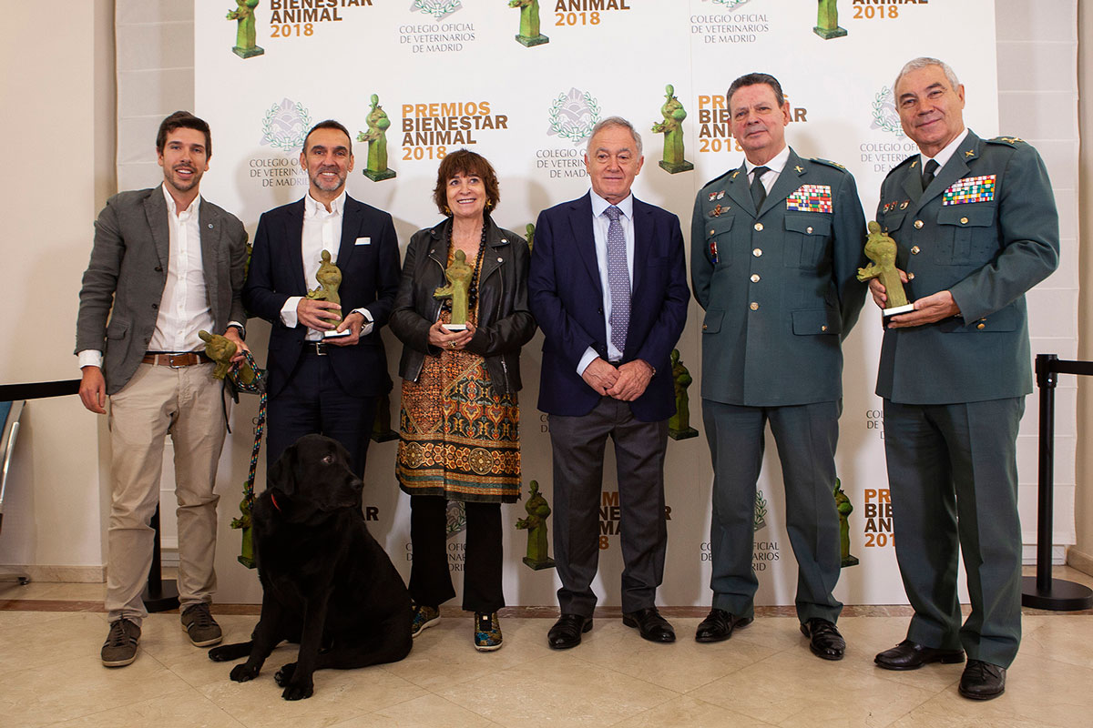 los premios bienestar animal reconocen a rosa montero el seprona el perro lass y calidad pascual los premios bienestar animal reconocen a rosa montero el seprona el perro lass y calidad pascual