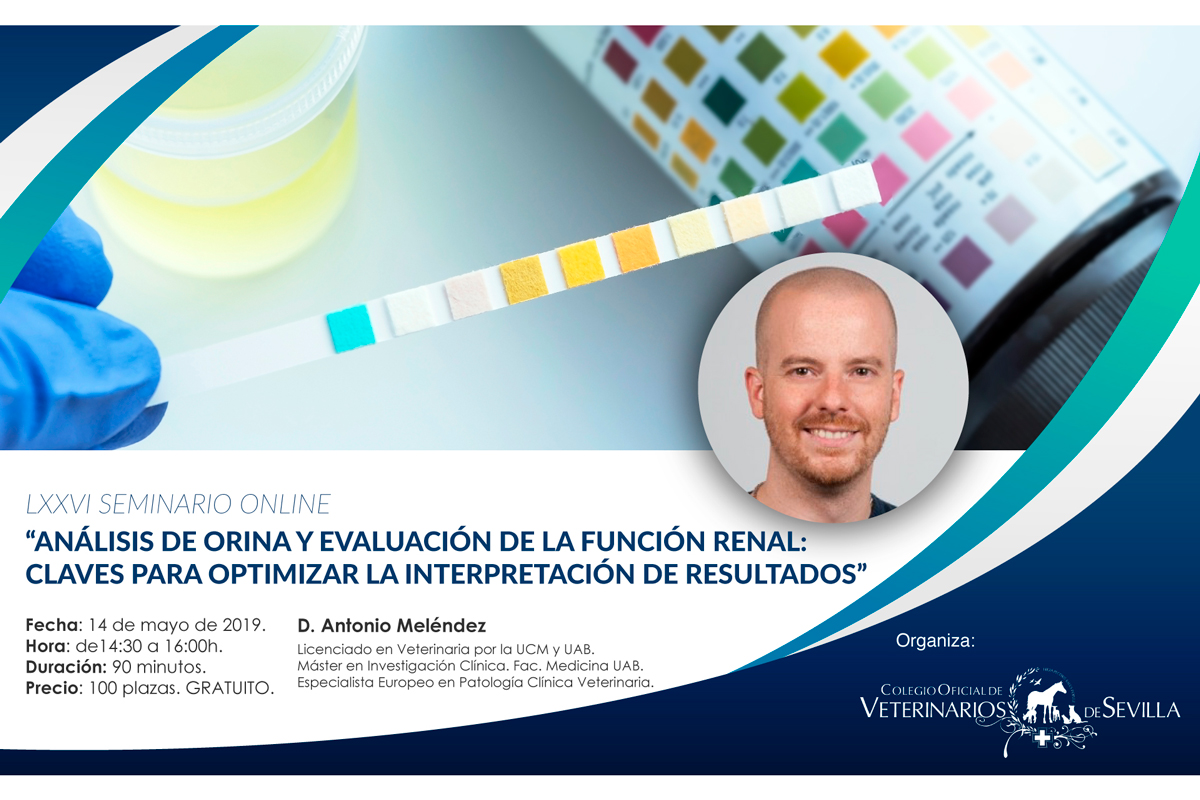 el urianlisis centra el lxxvi seminario online del cov de sevilla el urianlisis centra el lxxvi seminario online del cov de sevilla