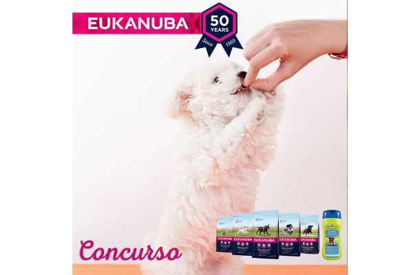 eukanuba-busca-el-proximo-puppy-ambassador