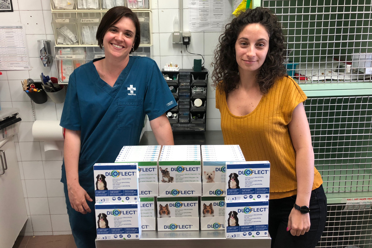 ceva apoya a protectoras de toda espaa con donaciones de pipetas antiparasitarias ceva apoya a protectoras de toda espaa con donaciones de pipetas antiparasitarias