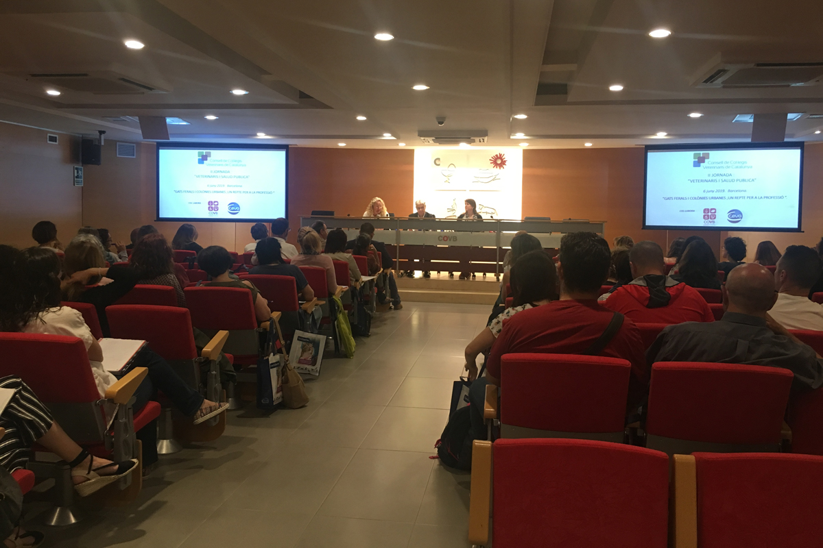 ceva colabora con el ccvc en una jornada sobre bienestar felino ceva colabora con el ccvc en una jornada sobre bienestar felino