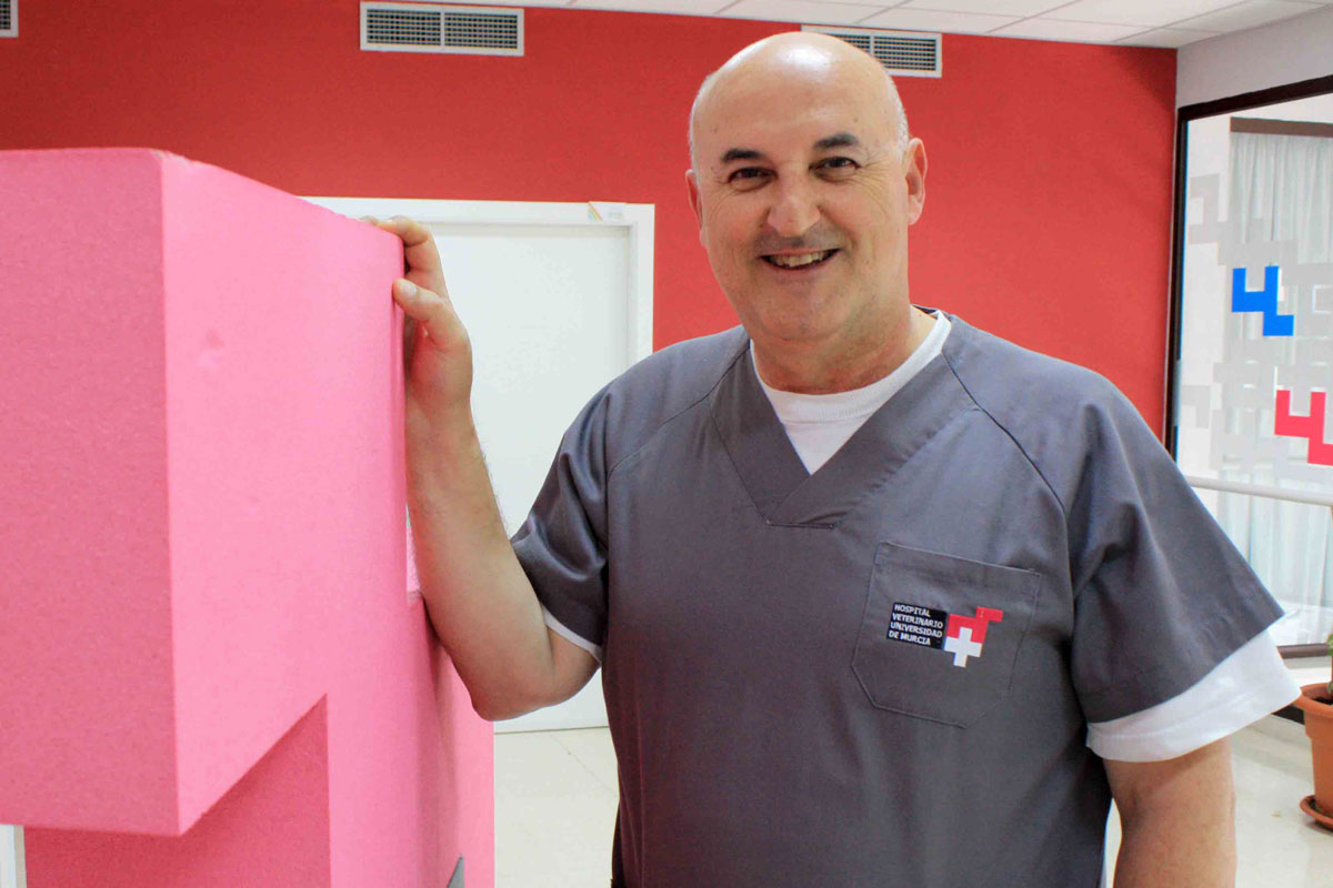 las clnicas necesitan ms formacin para afrontar con mayor confianza las enfermedades oculares las clnicas necesitan ms formacin para afrontar con mayor confianza las enfermedades oculares