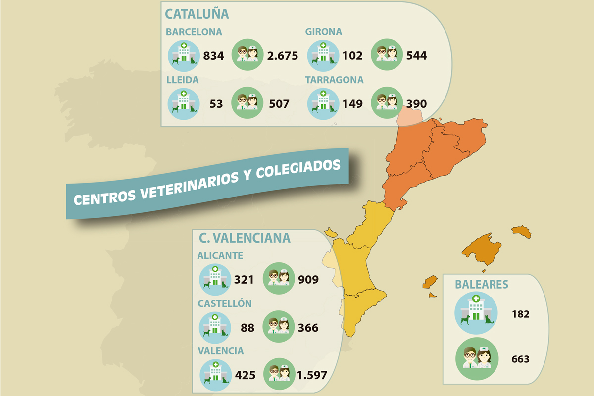 formar a la sociedad en bienestar animal una exigencia actual formar a la sociedad en bienestar animal una exigencia actual
