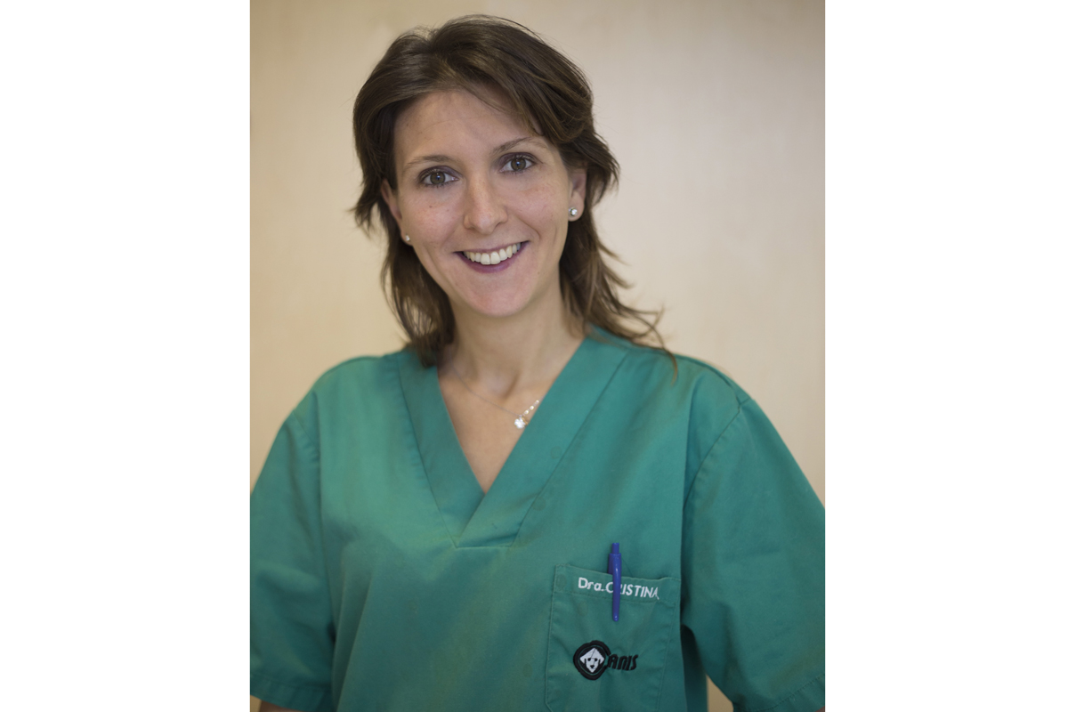 las hernias discales y las fracturas espinales son los procesos quirrgicos ms frecuentes las hernias discales y las fracturas espinales son los procesos quirrgicos ms frecuentes