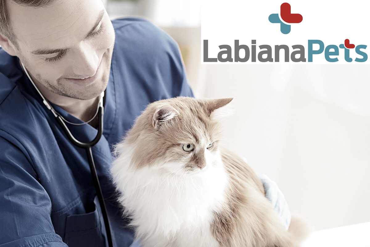 labianapets con y para el veterinario labianapets con y para el veterinario