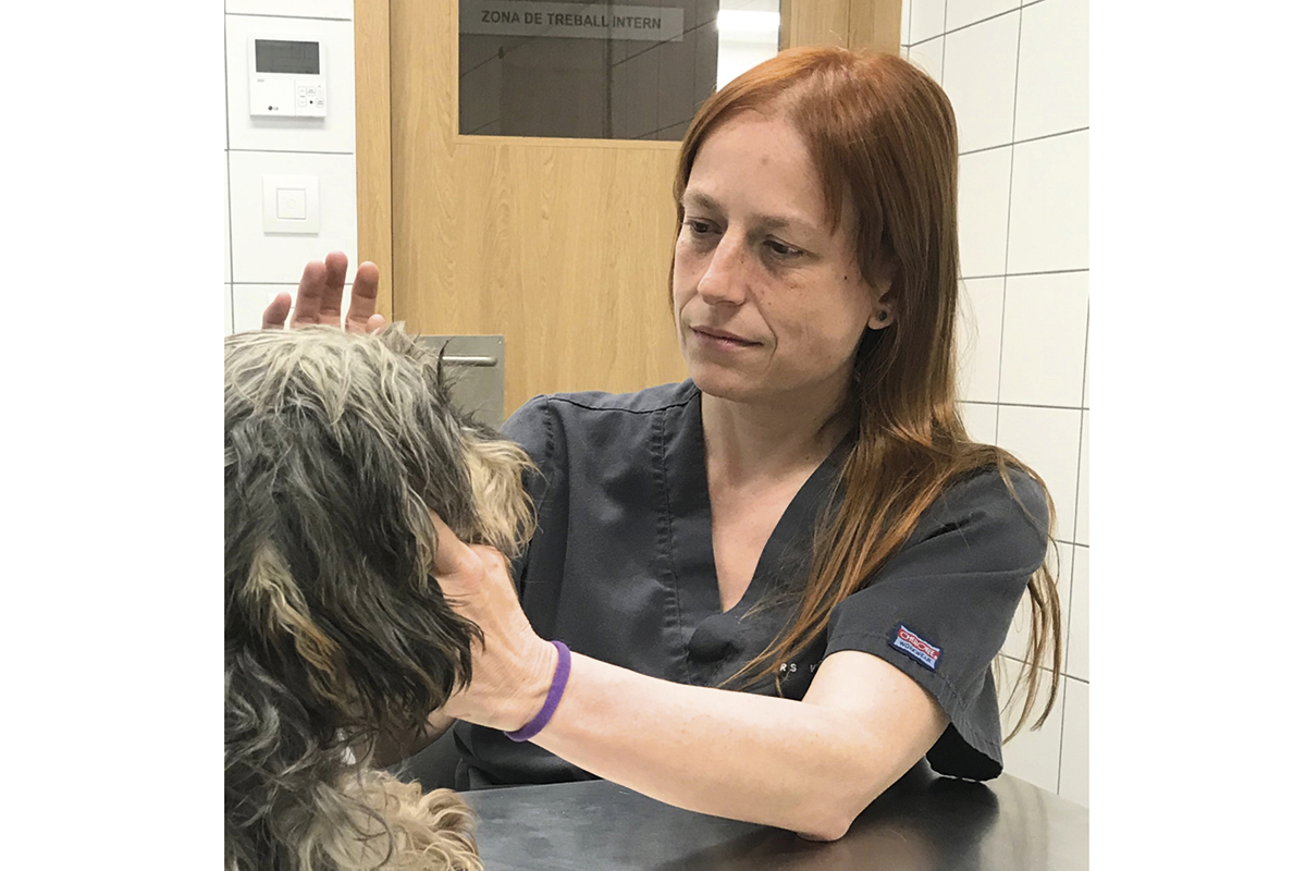 es-necesario-reconocer-a-los-veterinarios-que-han-realizado-una-formacion-especifica-y-reglada-en-un