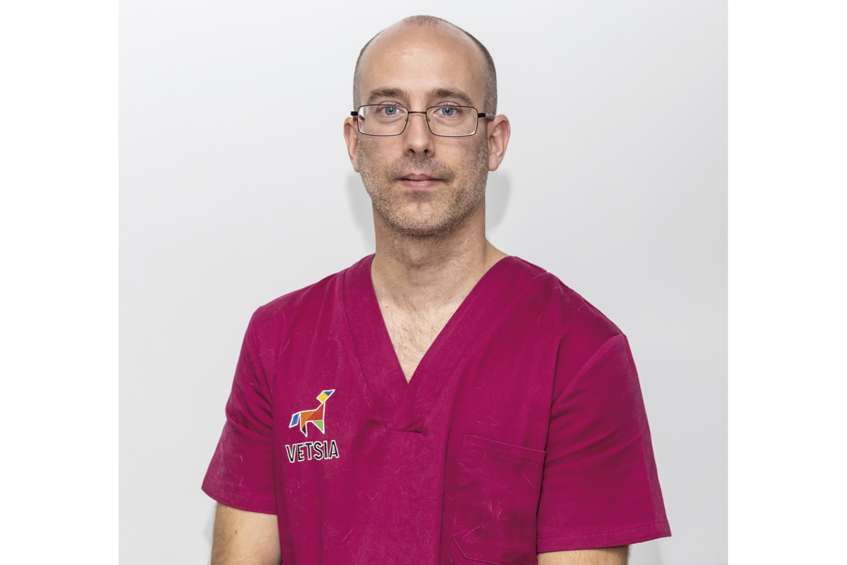 la neurologa veterinaria en espaa est en pleno desarrollo
la neurologa veterinaria en espaa est en pleno desarrollo