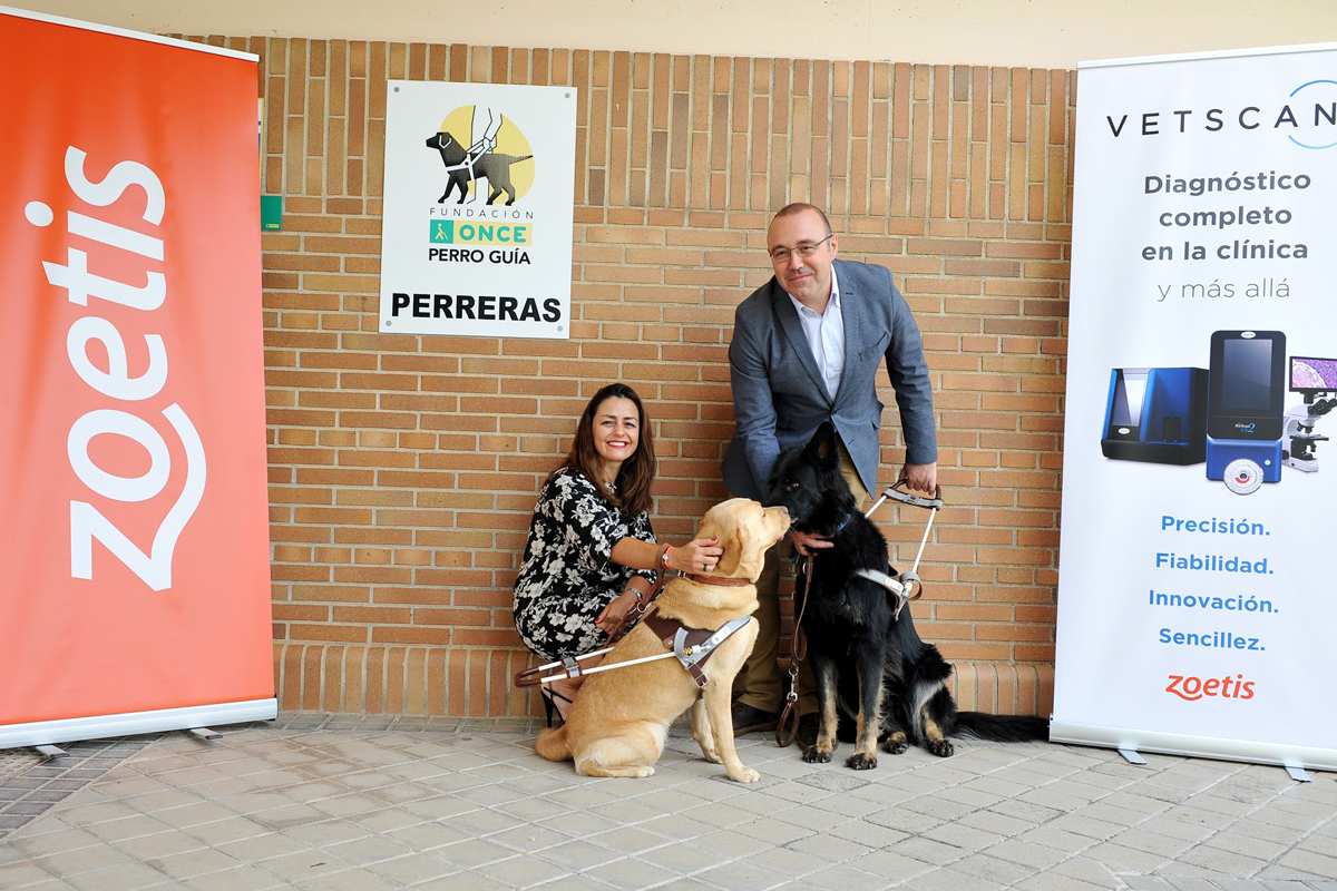zoetis da la mano a la fundacin once del perro gua zoetis da la mano a la fundacin once del perro gua