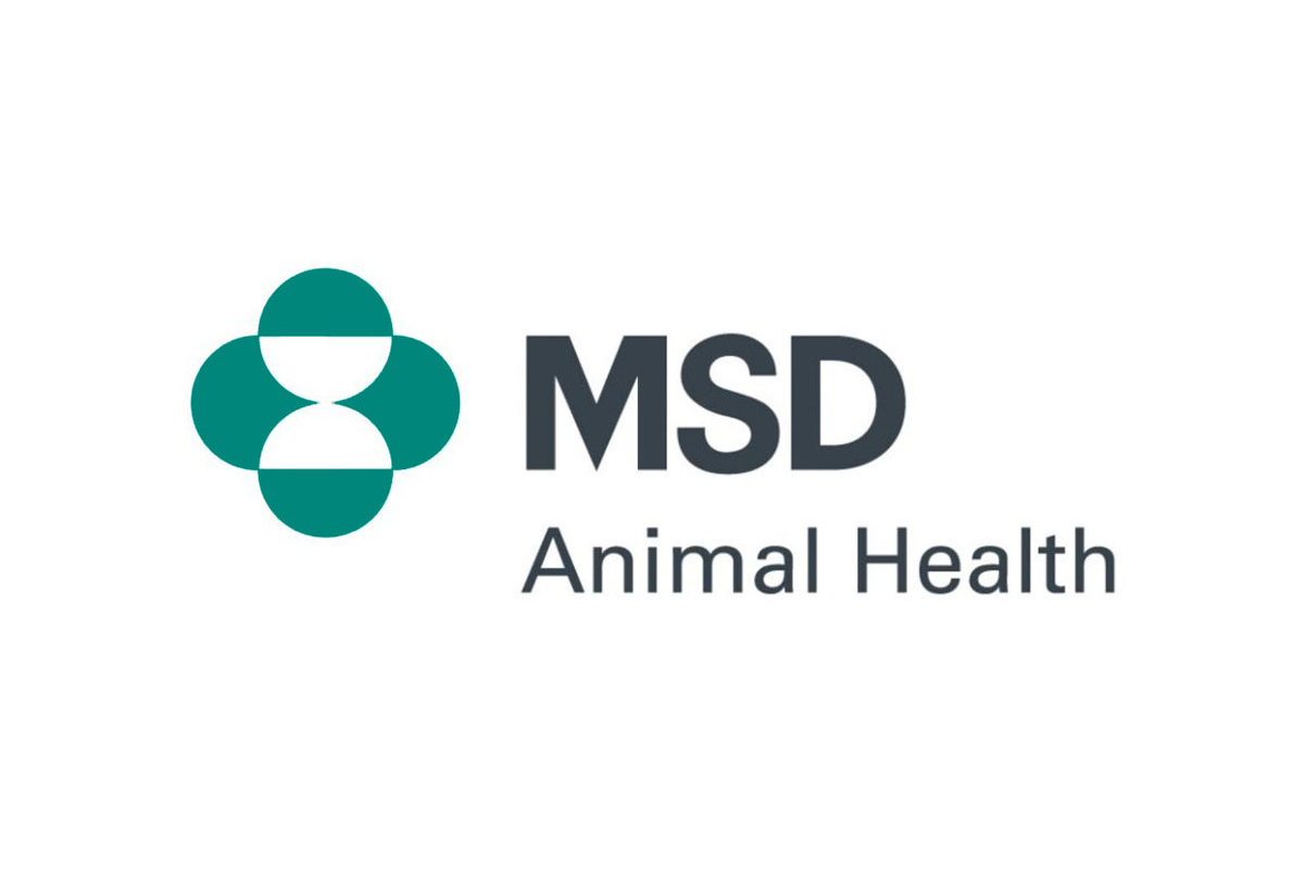 msd animal health presenta con v de vet msd animal health presenta con v de vet