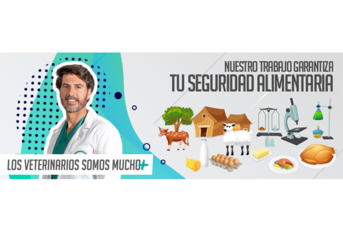 el cacv pone en valor la contribucin de los veterinarios en beneficio de la salud pblica el cacv pone en valor la contribucin de los veterinarios en beneficio de la salud pblica