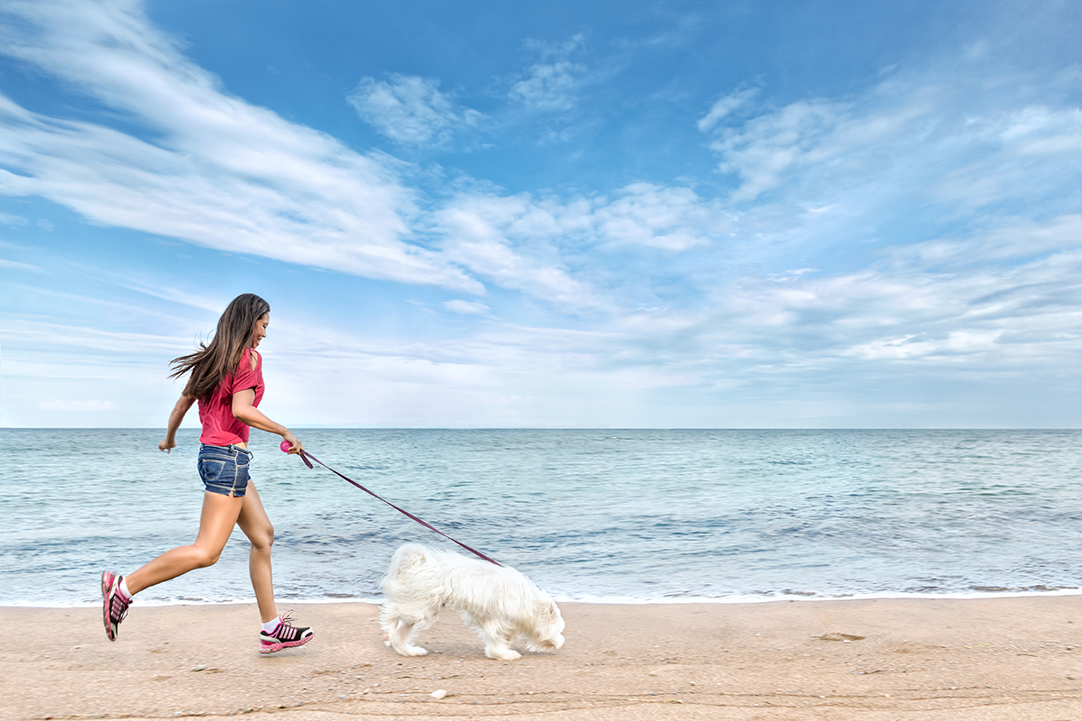 claves para cuidar de nuestro perro en verano claves para cuidar de nuestro perro en verano