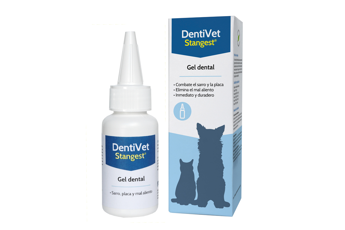 cuidado avanzado de la higiene bucodental con el nuevo gel de stangest cuidado avanzado de la higiene bucodental con el nuevo gel de stangest