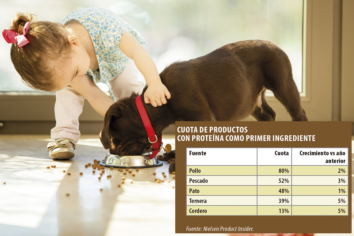 la innovacin revoluciona el mercado de nutricin para mascotas la innovacin revoluciona el mercado de nutricin para mascotas