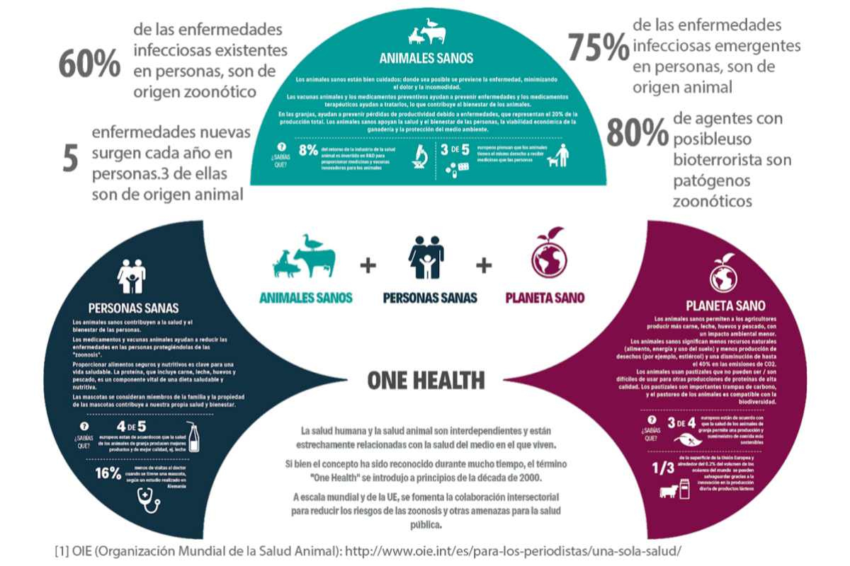 el da mundial de la zoonosis nos recuerda que animales y personas compartimos una nica salud el da mundial de la zoonosis nos recuerda que animales y personas compartimos una nica salud