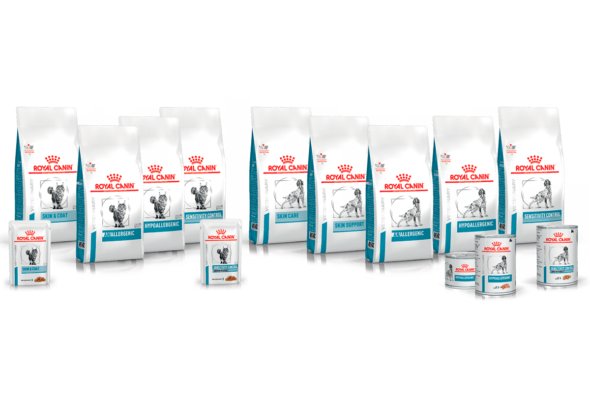 una gama de dietas dermatolgicas hace crecer la familia royal canin una gama de dietas dermatolgicas hace crecer la familia royal canin