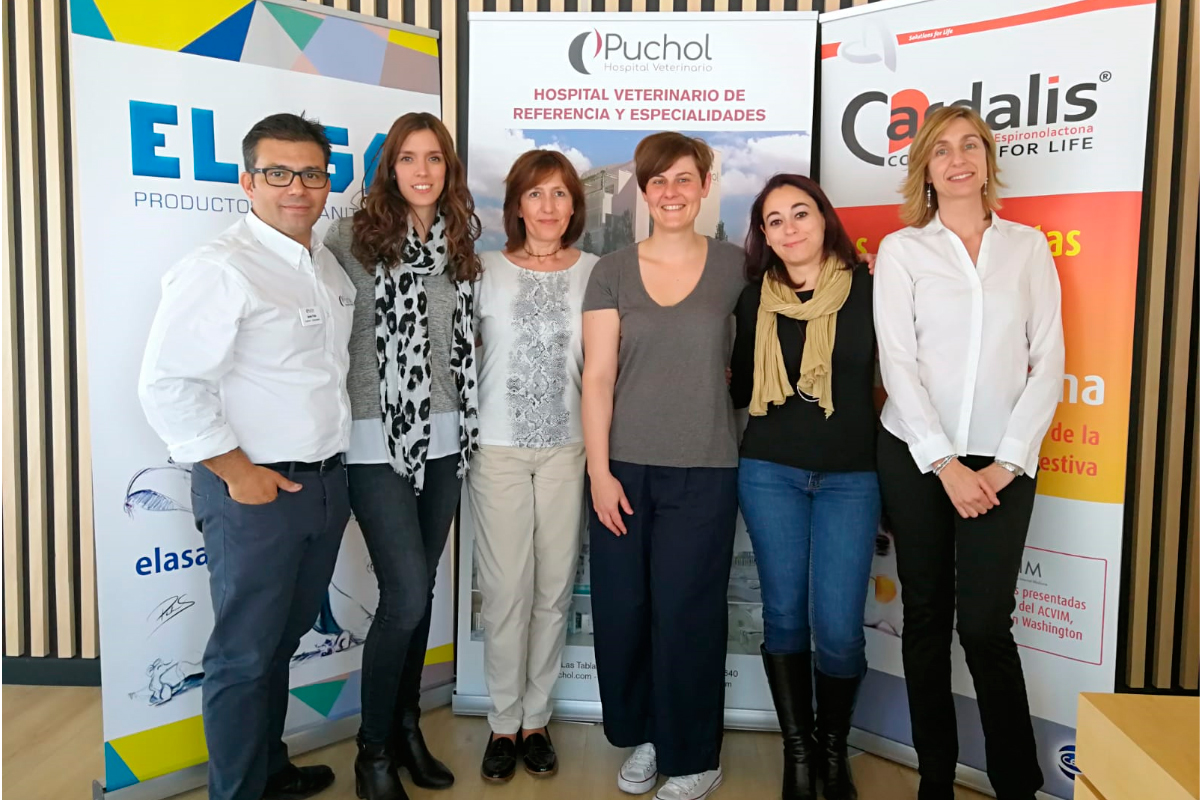 las patologas de la vlvula mitral centran una conferencia organizada por ceva salud animal las patologas de la vlvula mitral centran una conferencia organizada por ceva salud animal